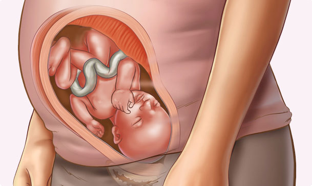 Tuần thai thứ 30: những sự thay đổi của mẹ bầu và thai nhi